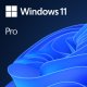 Microsoft Windows 11 Pro Prodotto completamente confezionato (FPP) 1 licenza/e 2