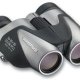 Olympus 10-30x25 Zoom PC I binocolo Porro Nero, Argento 2