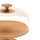 Alessi MW24 vassoio per dolci e torte Marrone, Trasparente 4