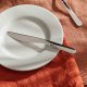 Alessi UNS03/6 coltello da cucina 3