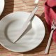 Alessi REB09/6 coltello da cucina 3
