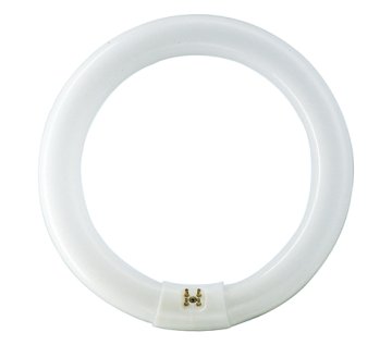 Philips TL-E 40W/840 1CT/12 lampada fluorescente G10q Bianco freddo