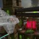 Warner Bros LEGO Dimensions - Fun Pack DC Wonder Woman 4