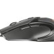 Trust GXT 101 mouse Ambidestro USB tipo A 4800 DPI 4
