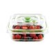 FoodSaver FFC003X recipiente per cibo Quadrato Scatola 0,7 L Verde, Trasparente 1 pz 6