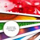 Epson Carta fotografica lucida Premium (130 x 180 mm), 255 g/m2, 30 fogli 6