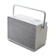 Pure 00-12120-00 portable/party speaker Altoparlante portatile mono Grigio 40 W 2