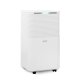 Argoclima ARGO LILIUM ART 11 2 L 38 dB 195 W Bianco 2