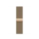 Apple Loop in maglia milanese color oro (41 mm) 2