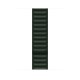 Apple Cinturino a maglie in pelle verde sequoia (45 mm) - M/L 2
