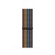 Apple Pride Edition Band Multicolore Nylon 2