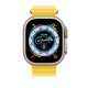 Apple MQEC3ZM/A parte e accessorio per orologi Cinturino per orologio 4