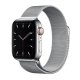 Eva Fruit Cinturino Apple Watch acciaio inox chiusura magnetica colore argento 2