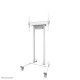 Neomounts FL55-875WH1 Carello TV 55-100