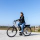 EMG E-bike Vintage con telaio in alluminio 19