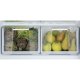 Hotpoint Ariston Frigorifero combinato HP70 TMI 92 X 1 4