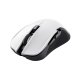 Trust GXT 923W YBAR mouse Gaming Mano destra RF Wireless Ottico 7200 DPI 4