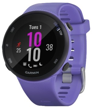 Garmin Forerunner 45S 2,64 cm (1.04") 42 mm Digitale 208 x 208 Pixel Nero GPS (satellitare)