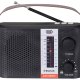 Trevi RADIO PORTATILE A ENERGIA SOLARE WIRELESS USB MICRO SD TWS RA 7F25 BT 5