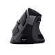 Trust Voxx mouse Ufficio Mano destra RF senza fili + Bluetooth Ottico 2400 DPI 3