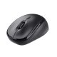 Trust TM-200 mouse Ufficio Ambidestro RF Wireless Ottico 1600 DPI 2