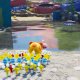 Nintendo Pikmin 4 Standard Multilingua Nintendo Switch 7