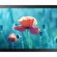 Samsung QB13R-TM Pannello piatto interattivo 33 cm (13