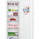 Haier H2F-255WSAA Congelatore verticale Libera installazione 262 L E Bianco 4