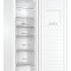 Haier H2F-255WSAA Congelatore verticale Libera installazione 262 L E Bianco 6