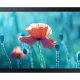 Samsung QB13R-M Pannello piatto per segnaletica digitale 33 cm (13