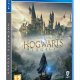 Warner Bros Hogwarts Legacy Standard PlayStation 4 2