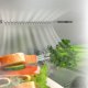 Hisense RB440N4ACD frigorifero con congelatore Libera installazione 336 L D Acciaio inox 11