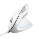 Trust Verto mouse Ufficio Mano destra USB tipo A Ottico 1600 DPI 2