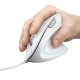 Trust Verto mouse Ufficio Mano destra USB tipo A Ottico 1600 DPI 3