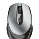 Trust Zaya mouse Ufficio Ambidestro RF Wireless Ottico 1600 DPI 7