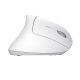Trust Verto mouse Ufficio Mano destra RF Wireless Ottico 1600 DPI 8