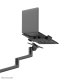 Neomounts DS20-425BL1 Supporto braccio per laptop 11.6-17.3