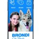 Brondi Amico Smartphone S+ Nero 2