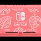 Nintendo Switch Lite edizione Speciale Animal Crossing 4