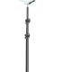 Tech Pop Selfie Ring Pro - Universale Anello led con treppiede da 1.60m per riprese video e selfie 2