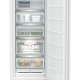 Liebherr FNe 4625 congelatore Congelatore verticale Libera installazione 200 L E Bianco 4