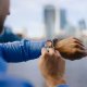 Cellularline SMARTWATCH ION BLUETOOTH 1.83