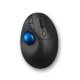 Kensington Pro Fit Ergo TB450 mouse Mano destra RF senza fili + Bluetooth Trackball 1600 DPI 2