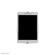 Neomounts WL15-625WH1 Supporto a parete per tablet 7.9-11