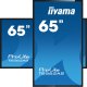 iiyama T6562AS-B1 visualizzatore di messaggi Pannello piatto interattivo 163,8 cm (64.5
