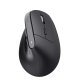 Trust Bayo+ mouse Ufficio Mano destra RF senza fili + Bluetooth Ottico 2400 DPI 3