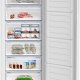 Beko RFSA240M41WN Congelatore verticale Libera installazione 215 L E Bianco 4