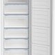 Beko RFSA240M41WN Congelatore verticale Libera installazione 215 L E Bianco 5