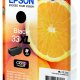 Epson Oranges Cartuccia Nero T33XL Claria Premium 5