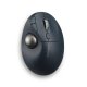 Kensington Pro Fit Ergo TB550 mouse Ufficio Mano destra RF senza fili + Bluetooth Trackball 1600 DPI 2